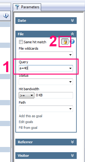 Custom variables in Web Log Storming